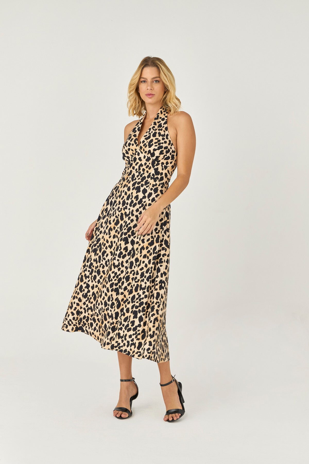 4c0f6c05cde24c106575582f127cab2a